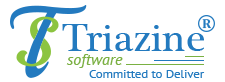 Triazine Software Pvt Ltd